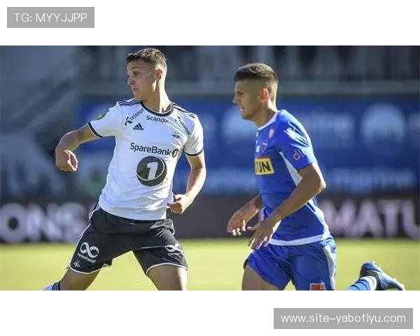 亚博体育登录入口遇到问题时的解决方案大全