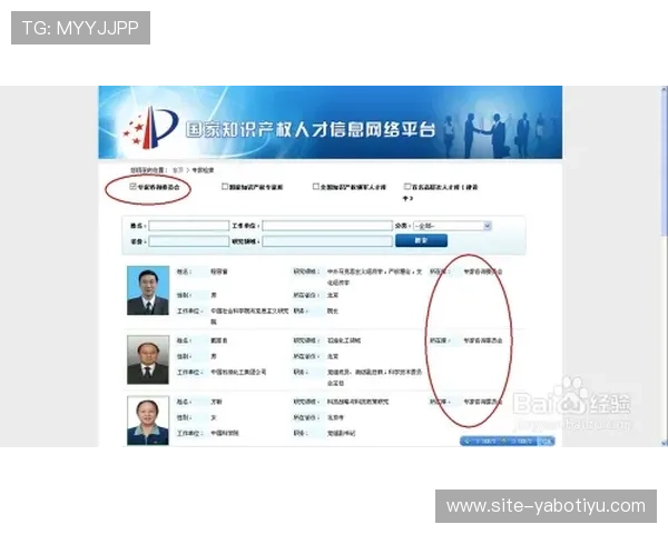 亚博YB的网址大全，便捷访问官方平台的最新网址信息